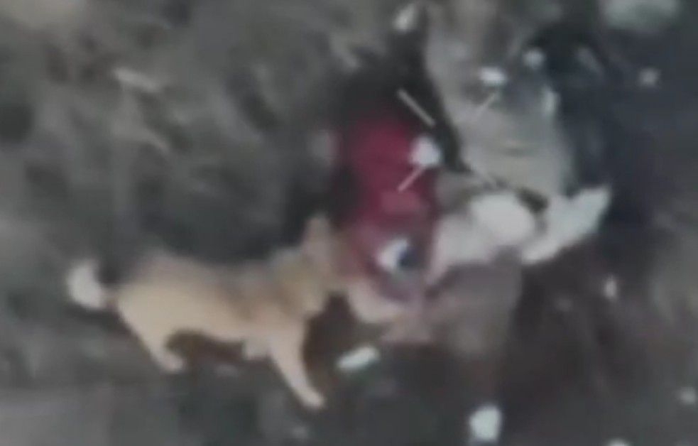 Drone kills Ukrainian to feed a puppy.