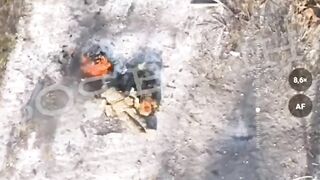 Burned alive