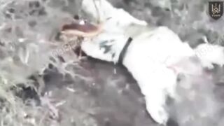The Russian had half his head blown off