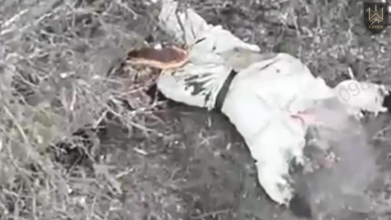 The Russian had half his head blown off