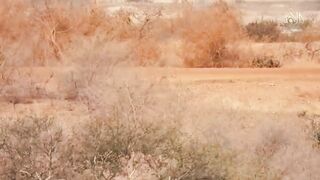 IED attack on a Nigerien army vehicle