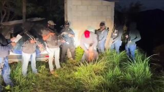 Don't mess with these guys (compilation)