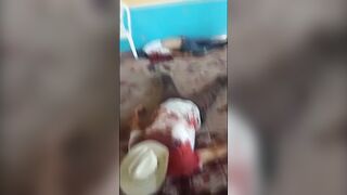 Don't mess with these guys (compilation)