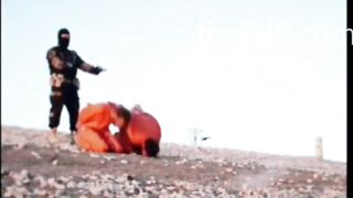 purely Gore:compilation