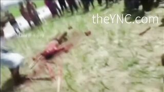 Purely Gore:Compilation