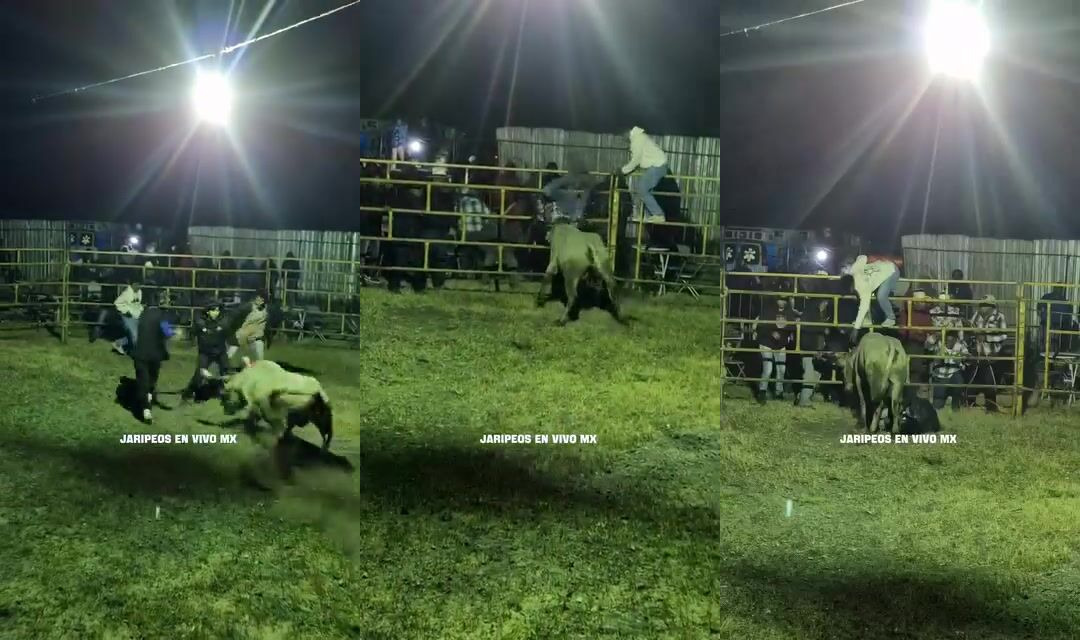 Man stomped by angry bull