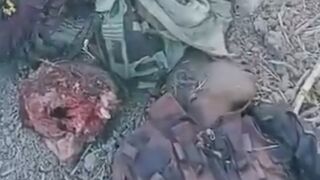 Nigerian Forces Terminated Group Of Boko Haram Terrorists In Borno State