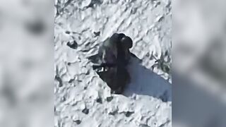 Orc ends romantic walk with suicide