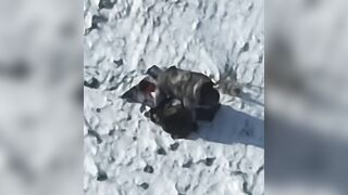 Orc ends romantic walk with suicide