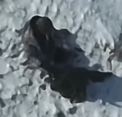 Orc ends romantic walk with suicide
