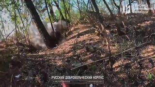 Real Russians versus fake ones.