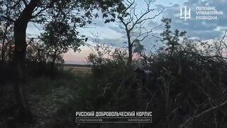 Real Russians versus fake ones.