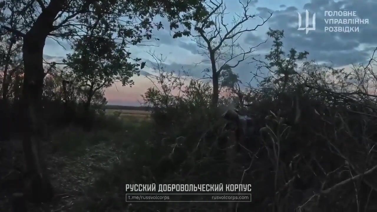 Real Russians versus fake ones.