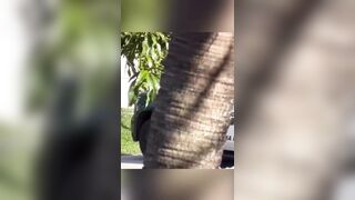 Worker Electrocuted, Killed In Florida