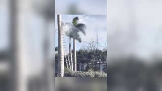 Worker Electrocuted, Killed In Florida