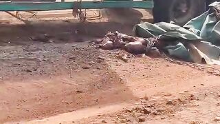 Man Destroyed By Fallen Container In Cameroon