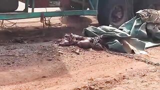 Man Destroyed By Fallen Container In Cameroon