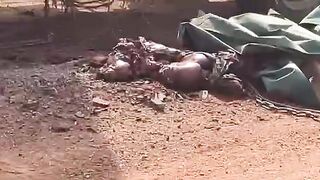 Man Destroyed By Fallen Container In Cameroon