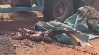 Man Destroyed By Fallen Container In Cameroon