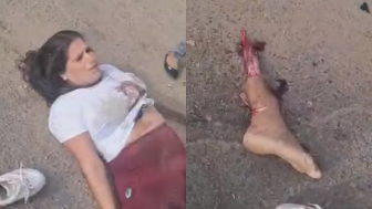 Traffic Accident In Venezuela Left Couple Seriously Injured