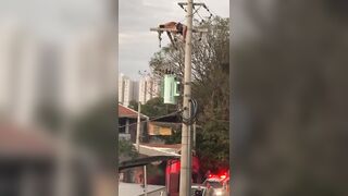 Man Electrocuted By Live Wire Gets Finished Off
