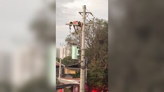Man Electrocuted By Live Wire Gets Finished Off