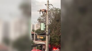 Man Electrocuted By Live Wire Gets Finished Off