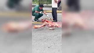 Horrific: 70-Year-Old Woman Reduced to Mush Below the Torso After Truck Runs Her Over