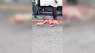 Horrific: 70-Year-Old Woman Reduced to Mush Below the Torso After Truck Runs Her Over