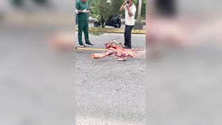 Horrific: 70-Year-Old Woman Reduced to Mush Below the Torso After Truck Runs Her Over