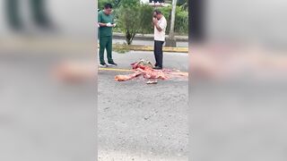 Horrific: 70-Year-Old Woman Reduced to Mush Below the Torso After Truck Runs Her Over