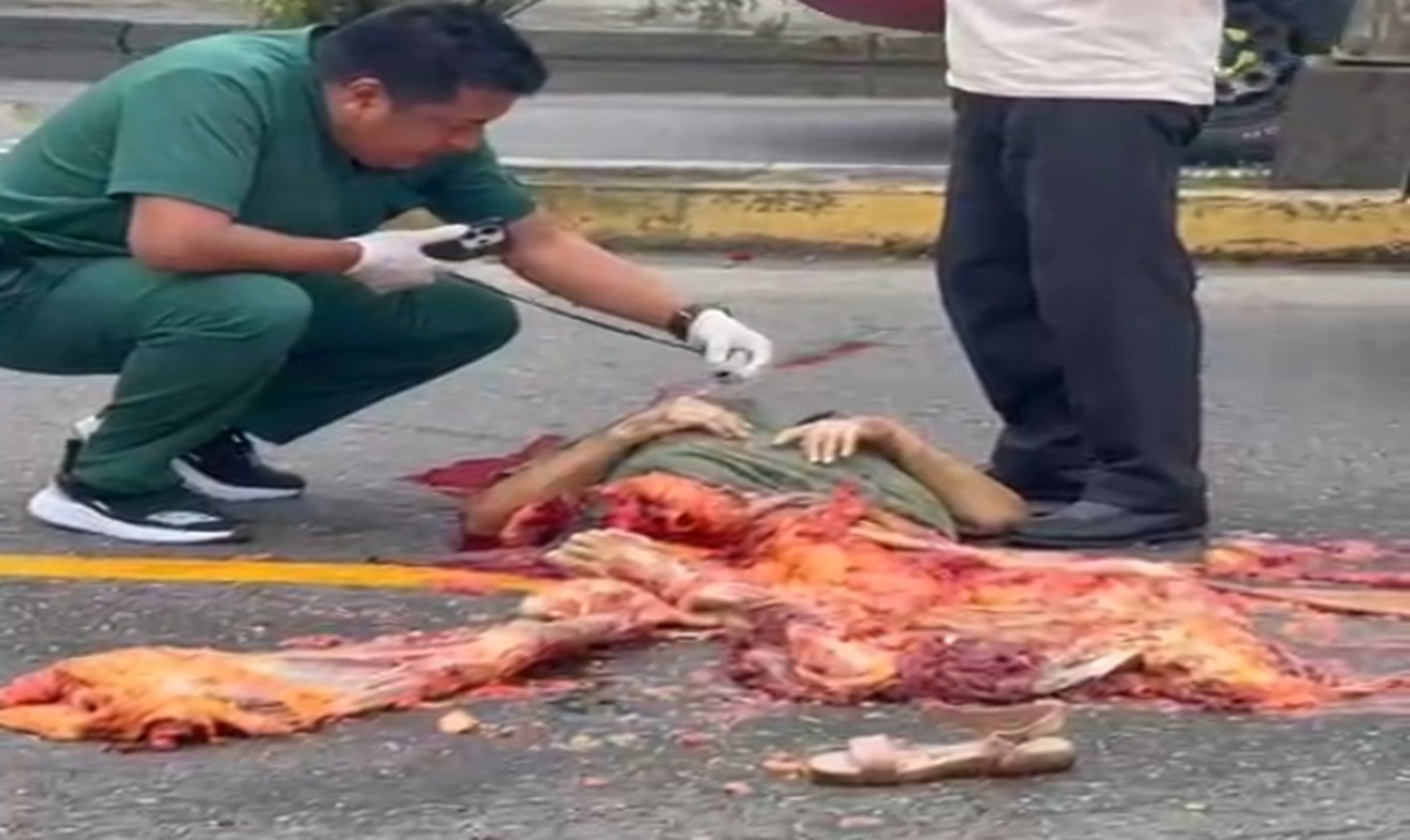 Horrific: 70-Year-Old Woman Reduced to Mush Below the Torso After Truck Runs Her Over