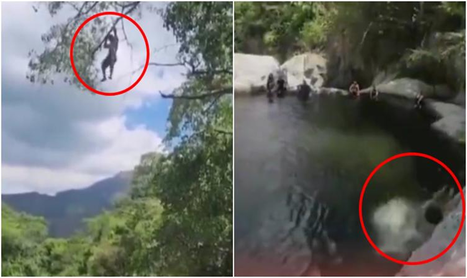 Dude Critically Injured After Tree Branch Hook Snaps During 10-Meter River Jump Attem