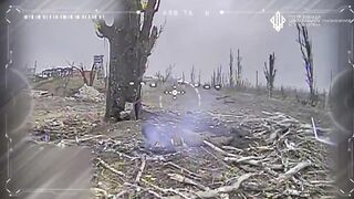 UA drones in action near the village of Grishino in the Donetsk region