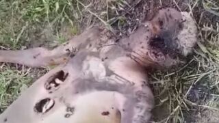 Two Days After A Double Execution