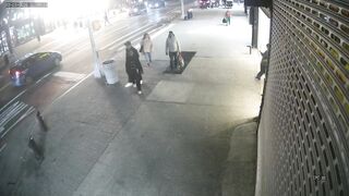 Reckless Driver Kills Cyclist, Injures Four Others in Harlem, NYC