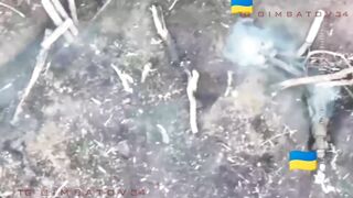 "Friendly visit" of Orcs to UA positions