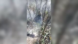 Cartel Members Mocking Enemies with Insane Heavy Caliber Firepower