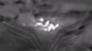 Ukrainian is disintegrated