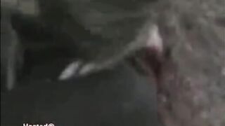 Classic: The Russian Neo-Nazi Beheading Video.