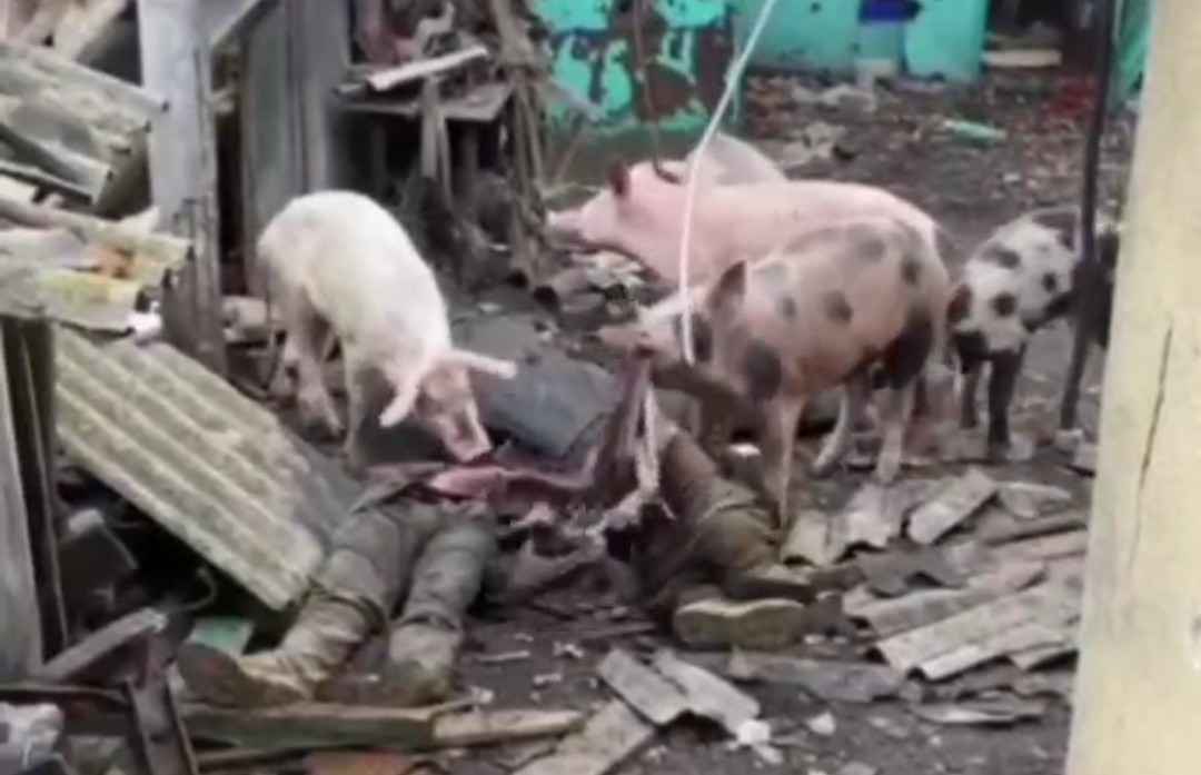 Pigs eating their Ukrainian brothers.