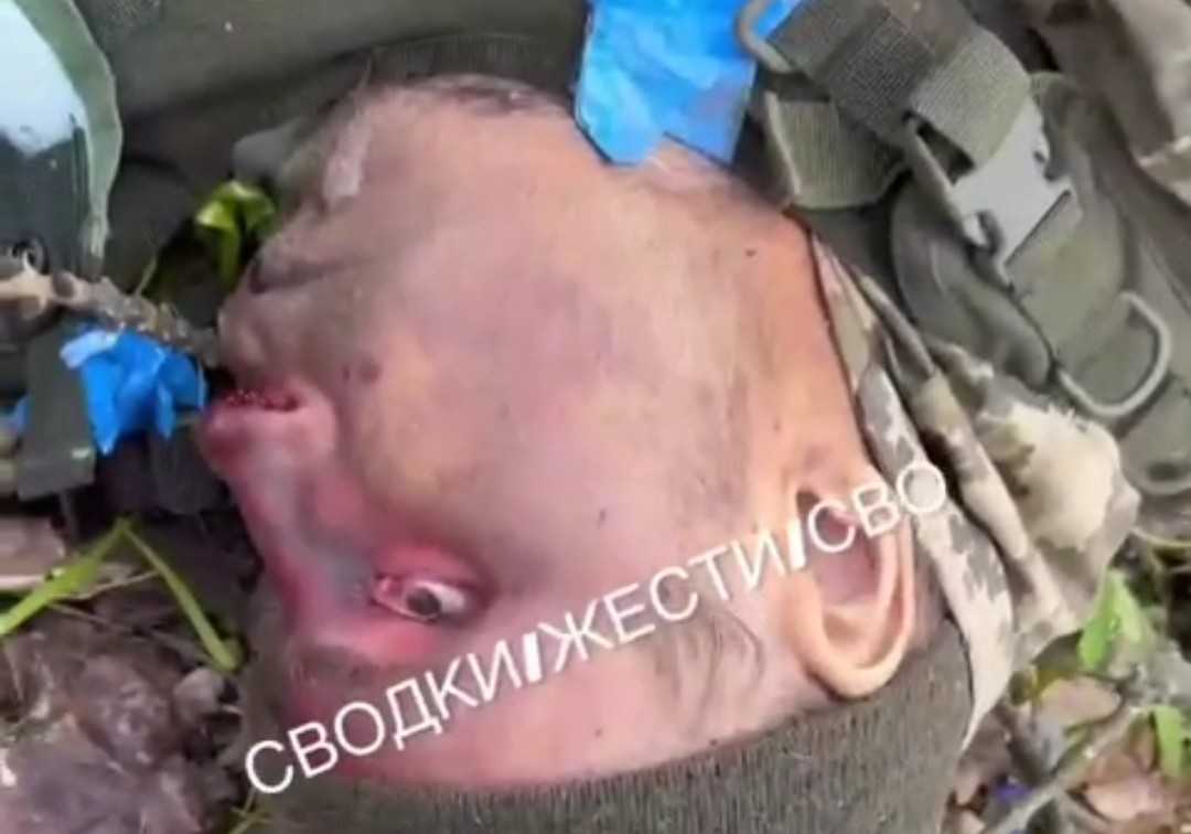 Kicking and mocking dead ukrats.