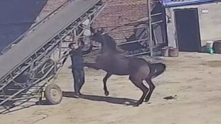 Man Attacked By Own Horse In China