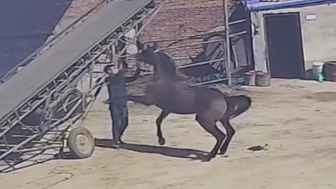 Man Attacked By Own Horse In China