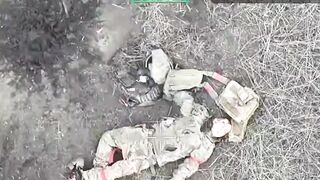 Assault Battalion "Black Swan" in action (UAF)