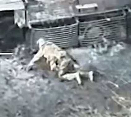 Assault Battalion "Black Swan" in action (UAF)