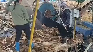 Female Worker Shredded By Wood Chipper