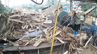 Female Worker Shredded By Wood Chipper