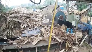 Female Worker Shredded By Wood Chipper