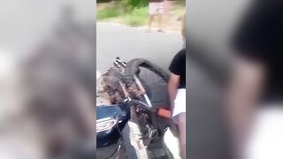 Man Impaled After Crashing Into A Fence